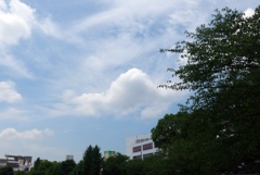 P1360262