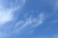 P1190124