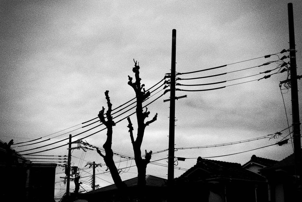 P1310976