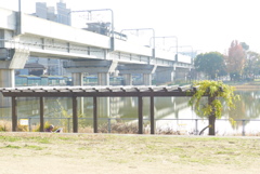 ある晴れた日に2