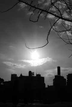 ビヨヨォ～ン (2)