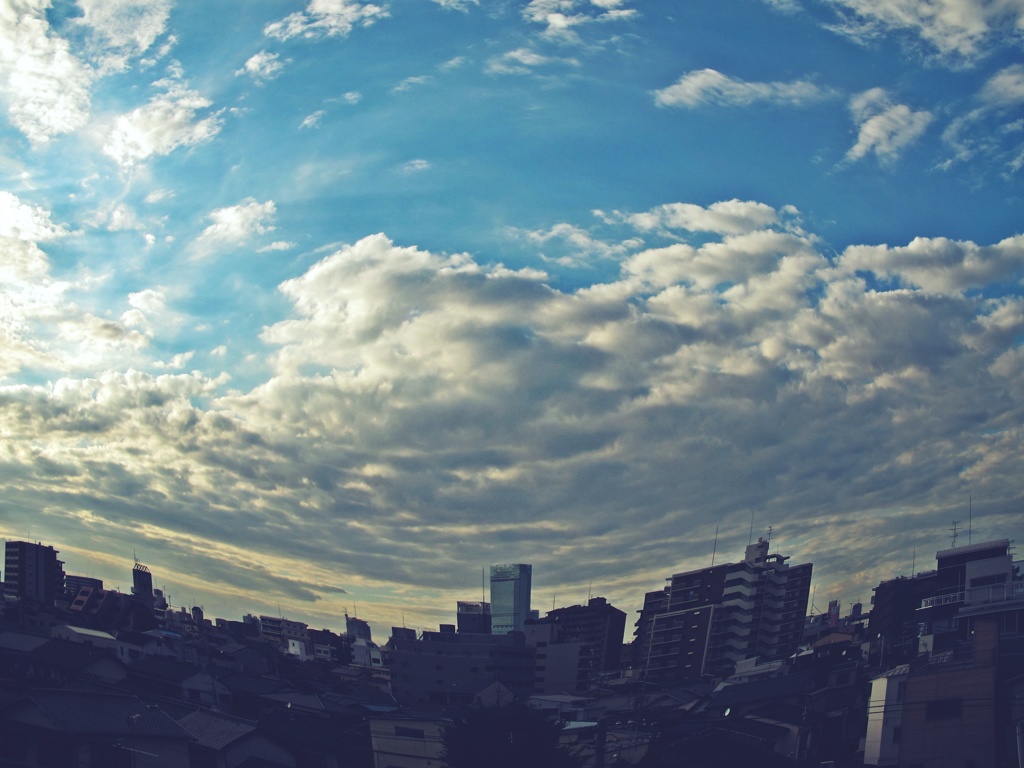 魚眼の空 (7)