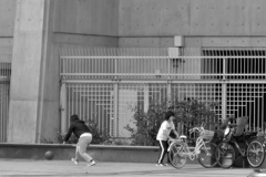 追いかける