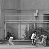 追いかける