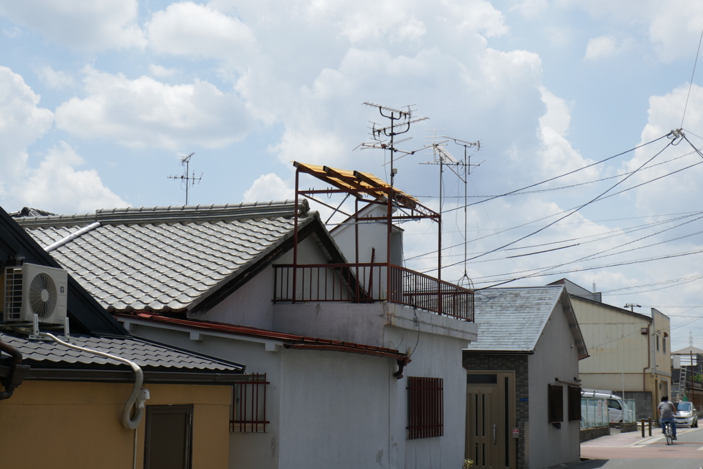 P1010262
