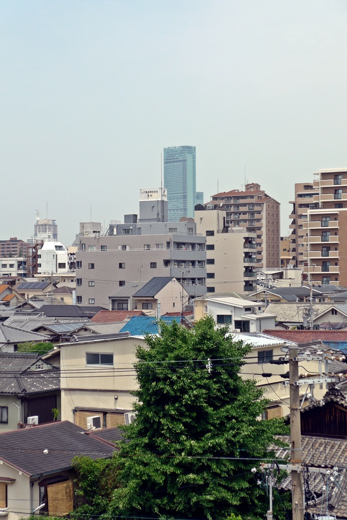P1200723