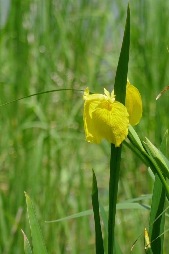 P1280534