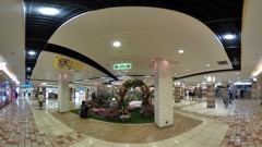 R0010196