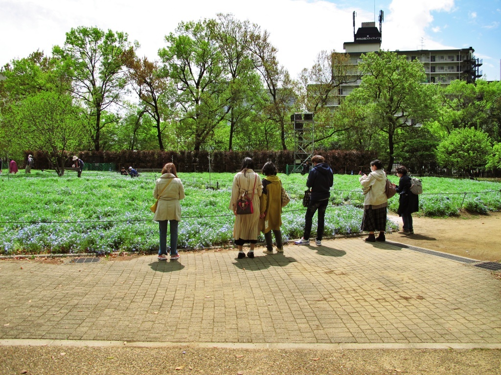 4月８日長居植物園