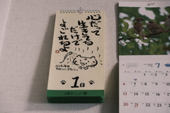 真理