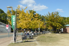 P1100159