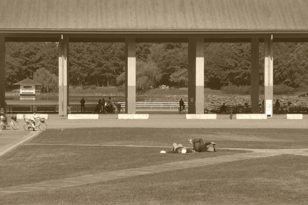 あたたかい日に