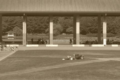 あたたかい日に