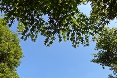 P1400192