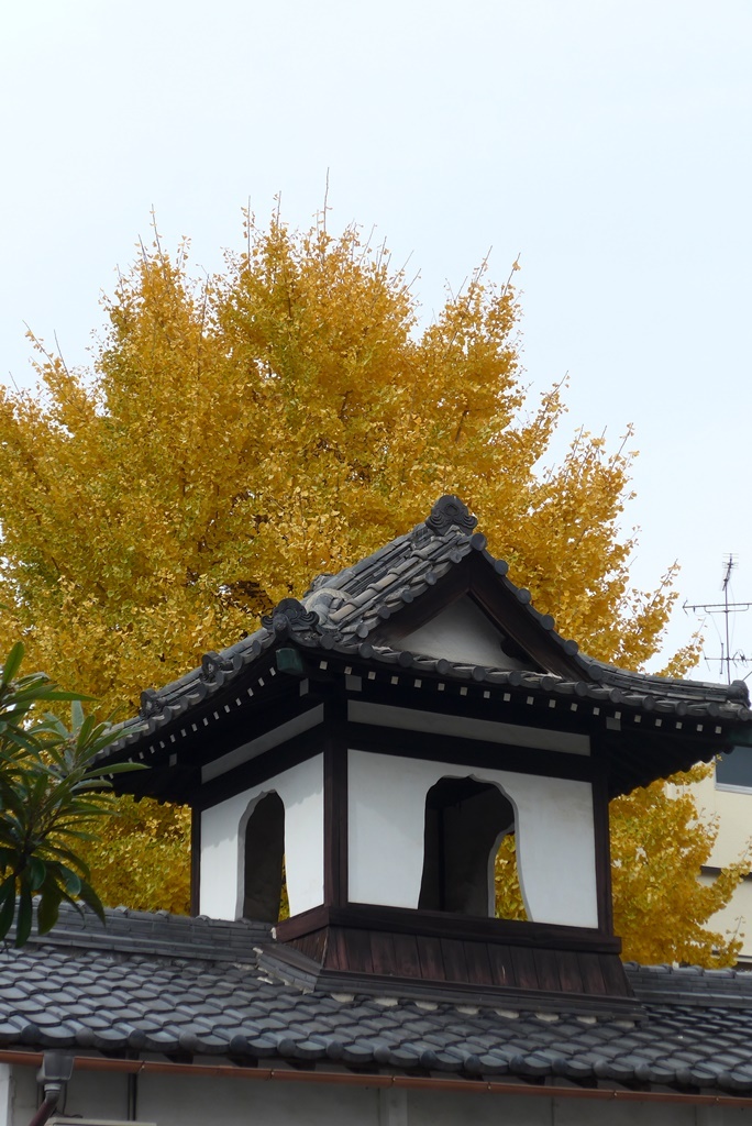 P1410003