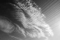 秋空 (4)