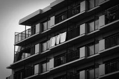 P1080667