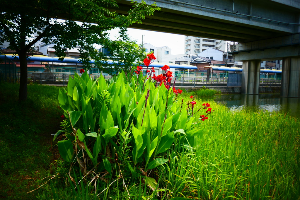 P1000833