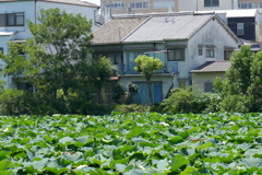 P1030597