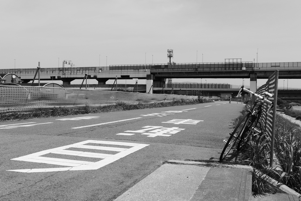 P1190843