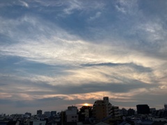 IMG_4031