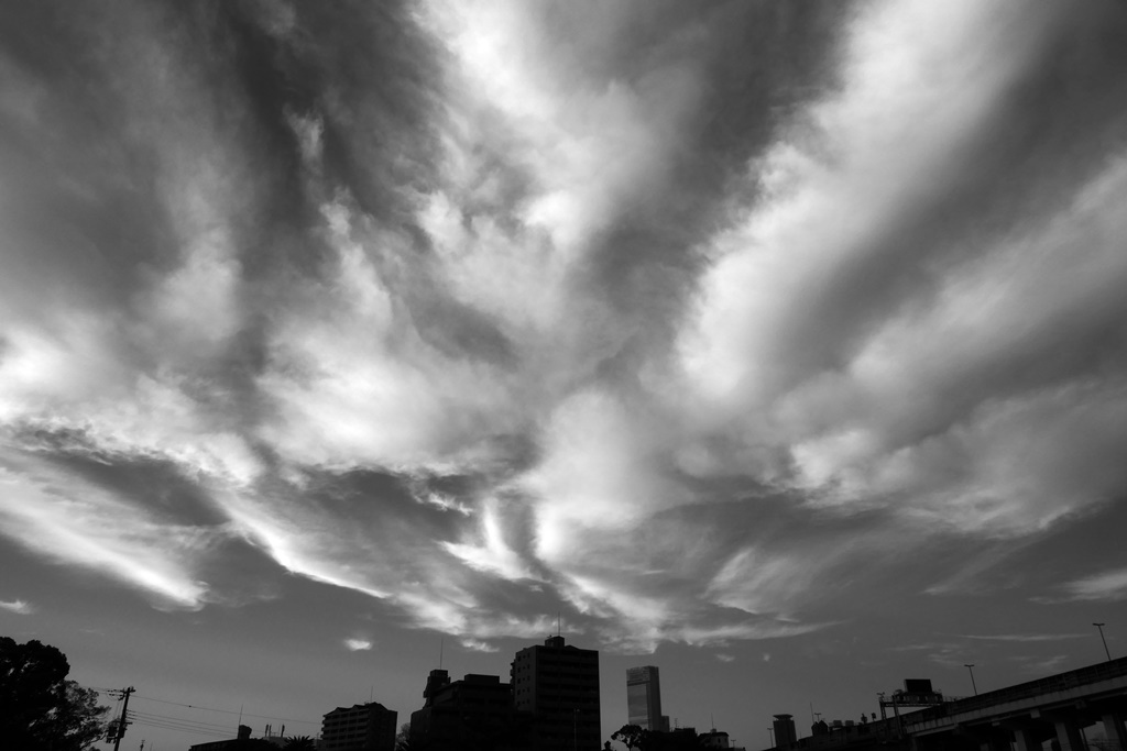 P1170218