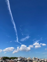 メモリ内掃除 