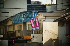 こていきんりねあげ