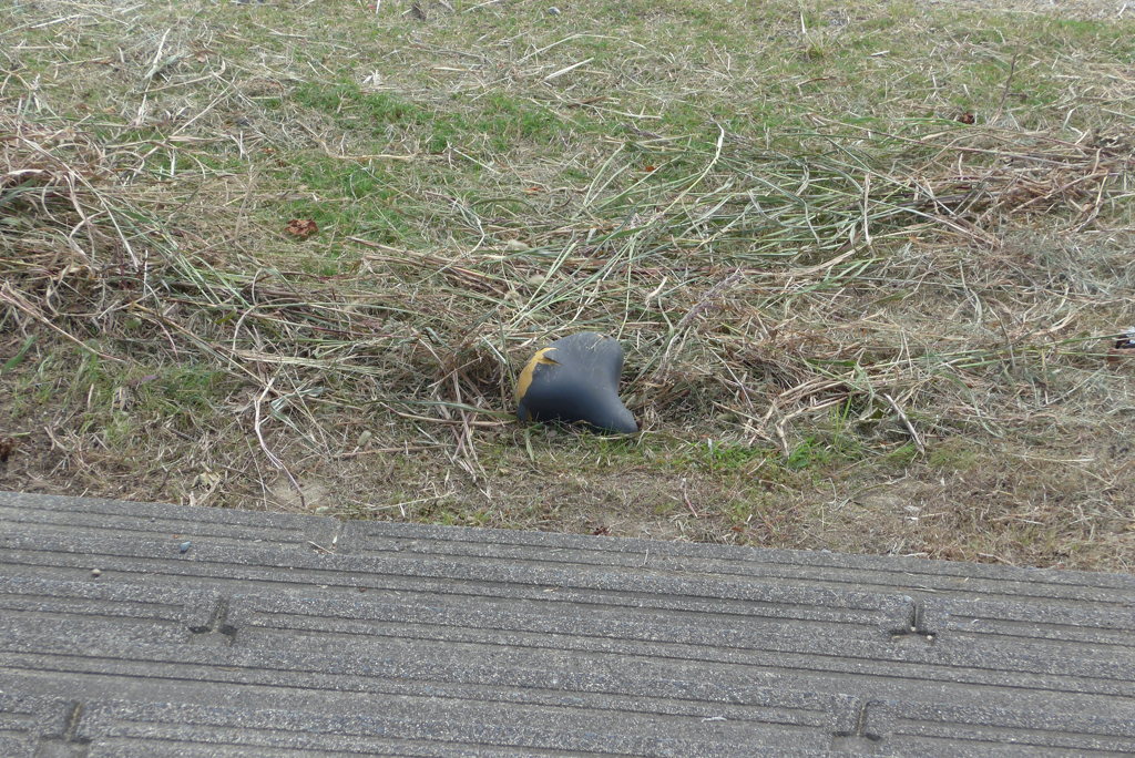 主に捨てられる