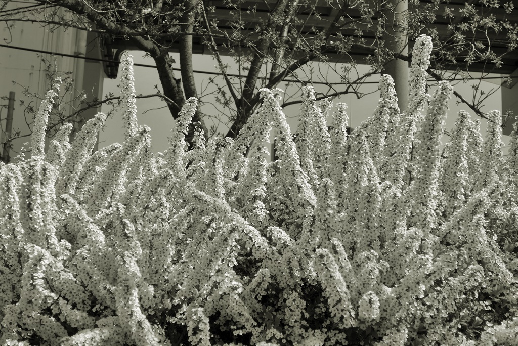 P1410630