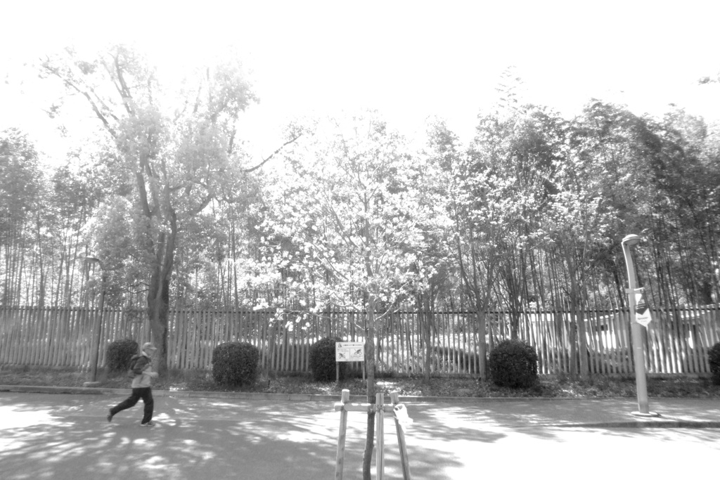 P1020502