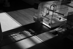 P1140186