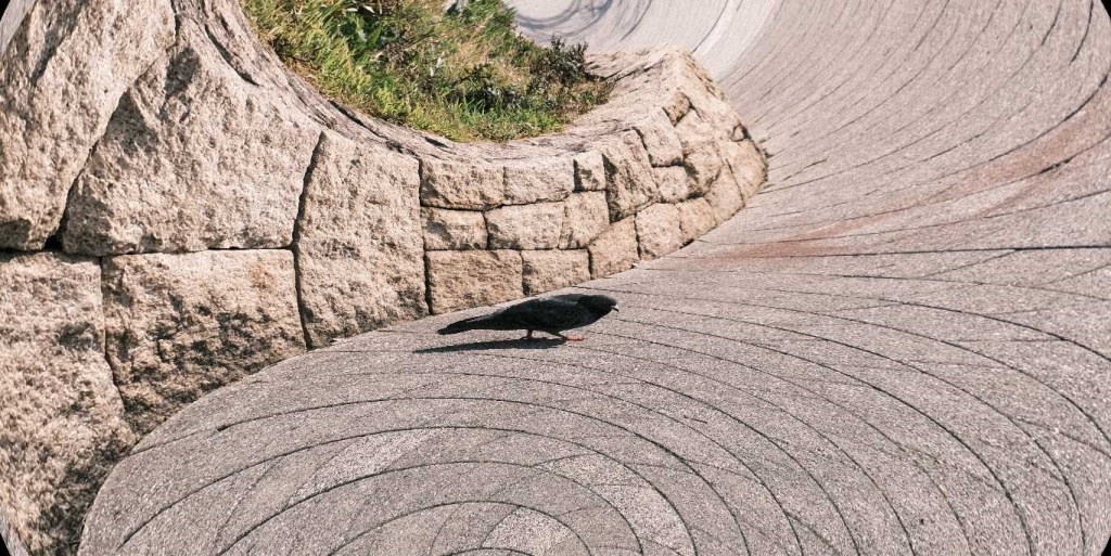 迷宮の鳩
