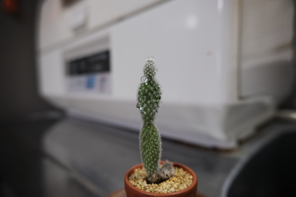 DSCF0024