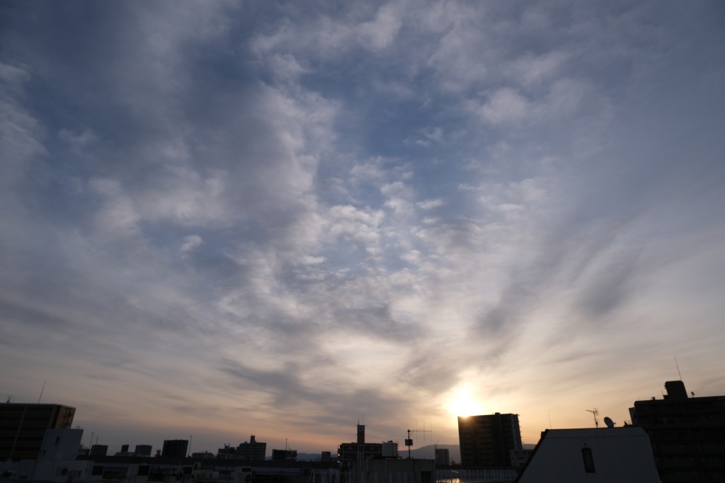 DSCF1795