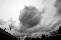 P1020608