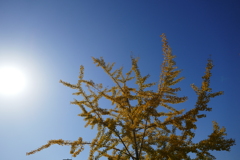 P1060339
