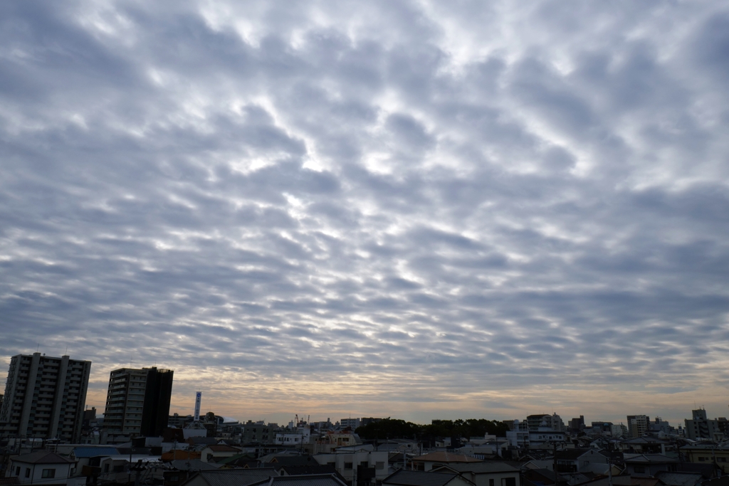 P1080625