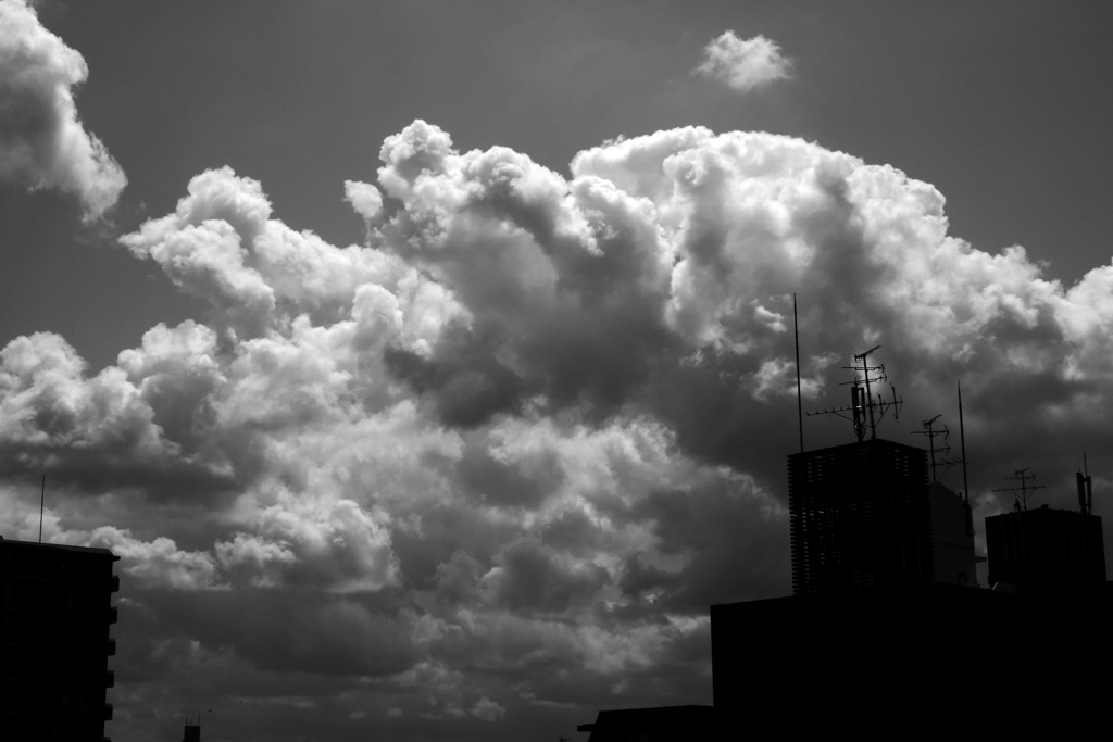 夏らしくなってきた雲