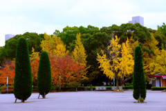 公園