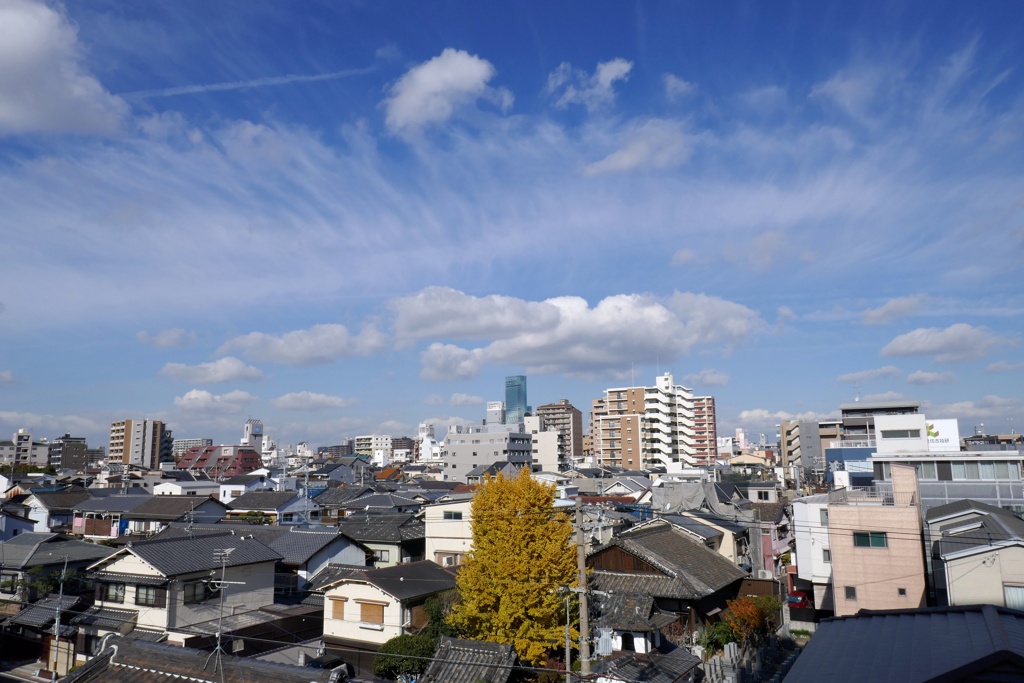P1070685