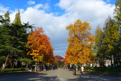 公園