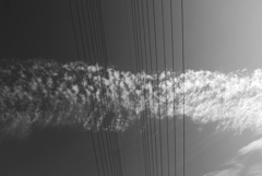 秋空 (3)