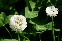 P1200574
