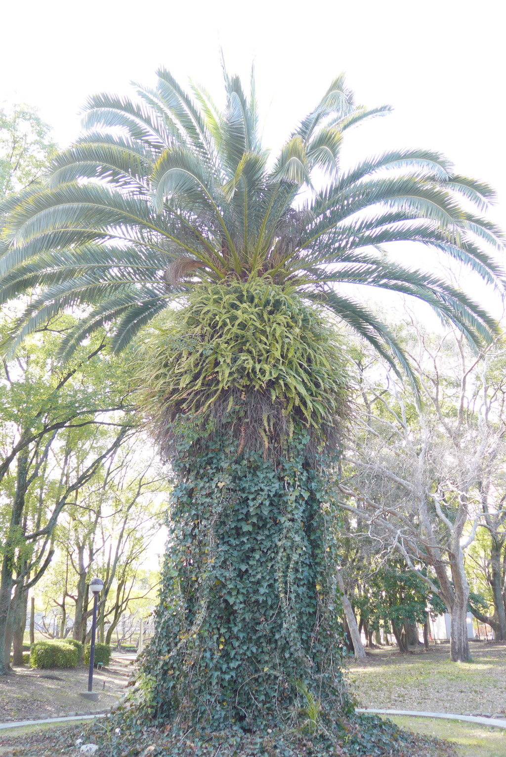 P1180011