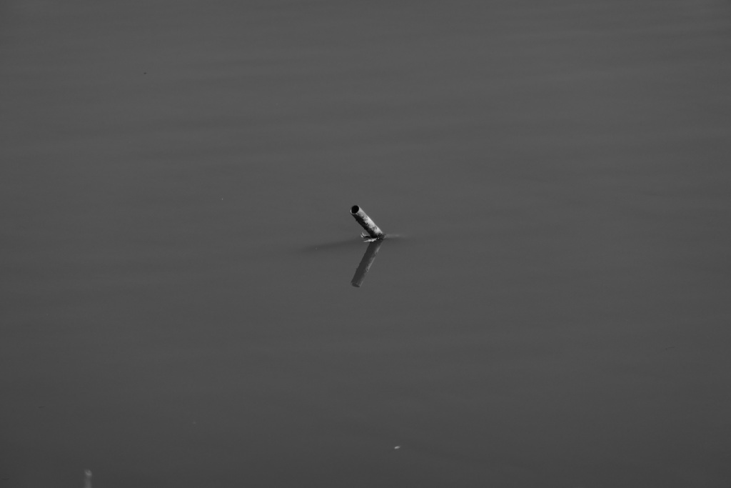 P1330116