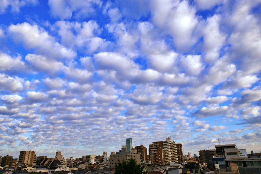 朝の空 (2)