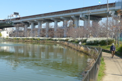 P1380109