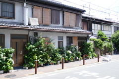 P1000266