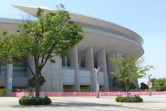 ピンクのフェンス